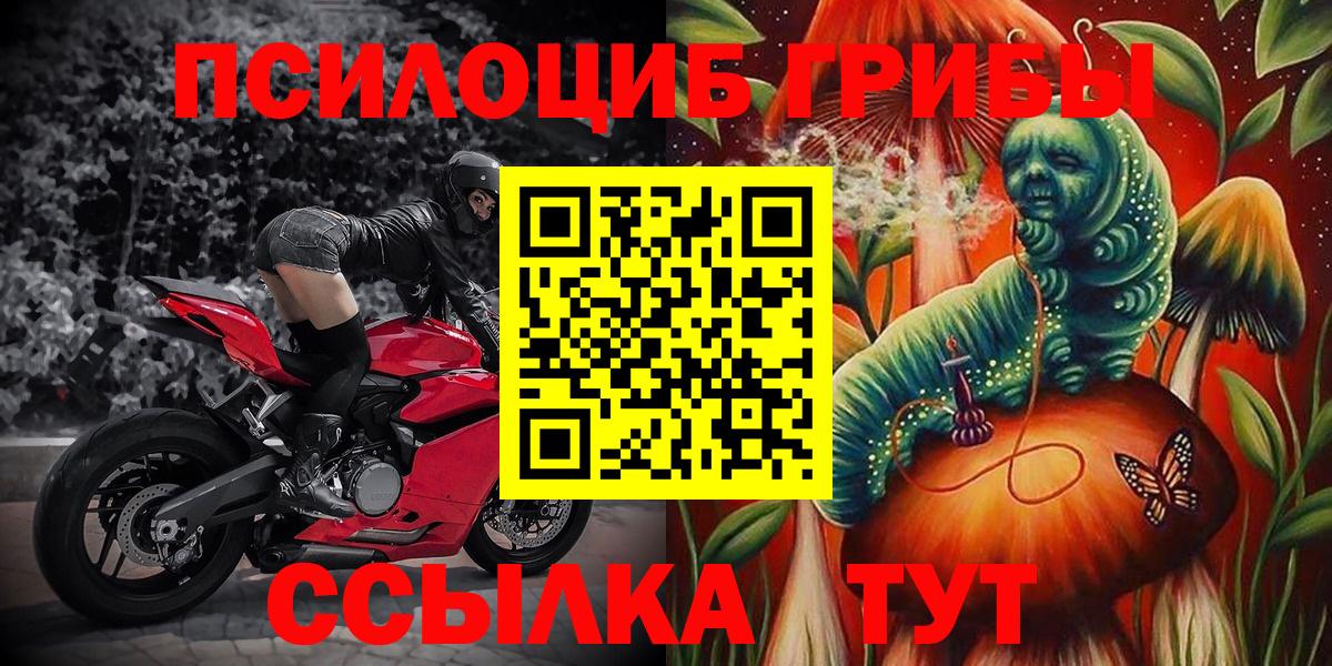Псилоцибиновые грибы GOLDEN TEACHER Кудымкар