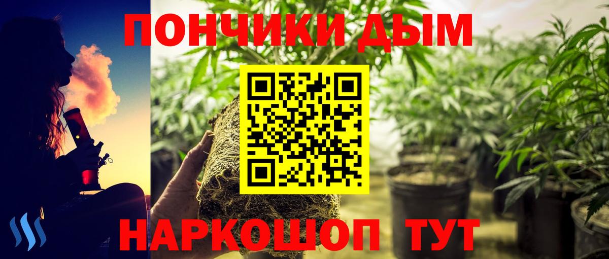 Шишки марихуана сатива Кудымкар